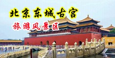 插肥婆淫穴中国北京-东城古宫旅游风景区